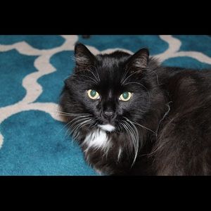 Meet your Posher, Jo-ann